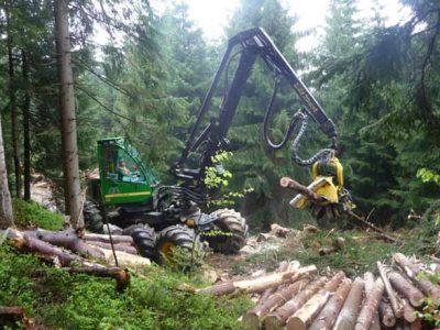 Foret-travaux-forestiers-Abatteuse-FNEDT Foret-travaux-forestiers-Abatteuse-FNEDT