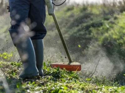 obligation-debroussaillage-terrain-shutterstock_2196705581 obligation-debroussaillage-terrain-shutterstock_2196705581